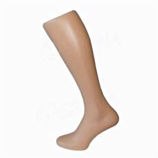 Torzo noha krátka samo stojaca, telová